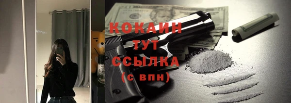 гашик Арсеньев