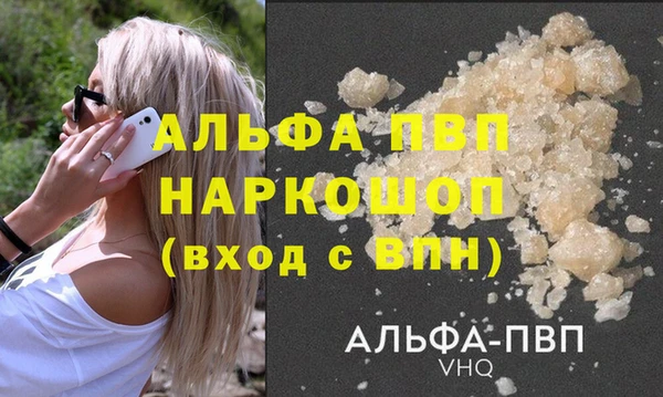 гашик Арсеньев