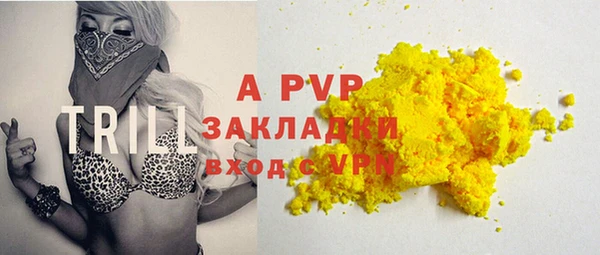 гашик Арсеньев