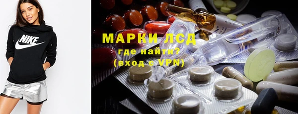 гашик Арсеньев