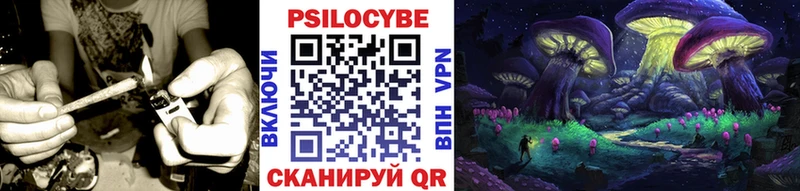 Псилоцибиновые грибы Cubensis  что такое   Петровск-Забайкальский 