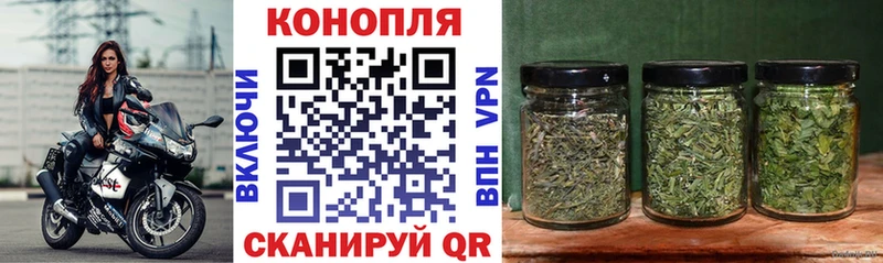 где купить наркоту  Петровск-Забайкальский  Канабис ГИДРОПОН 